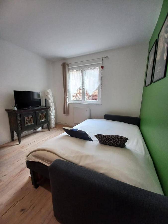 Le Passage Gite Cocooning A Colmar Centre Touristique Bagian luar foto